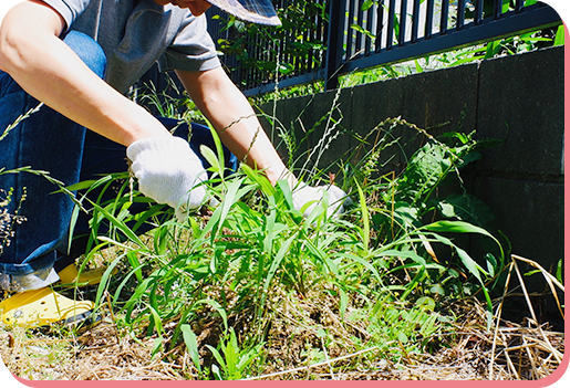 外仕事でリフレッシュ＆健康づくり